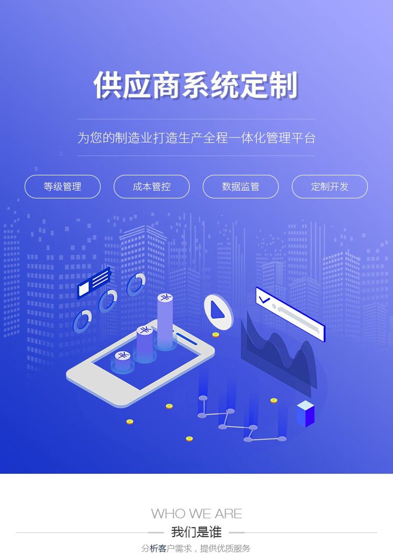 安徽软件开发：企业成长的加速器